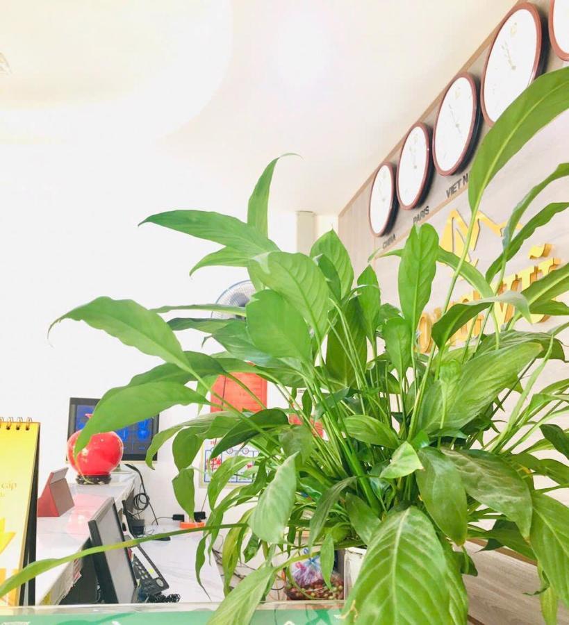 Long Vu Hotel ランソン市 エクステリア 写真